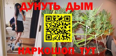 шишки Волжский