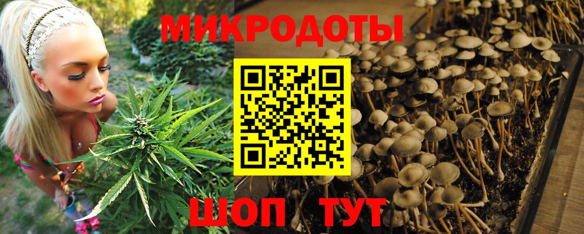 Батайск  Галлюциногенные грибы Cubensis  Вход с VPN 
