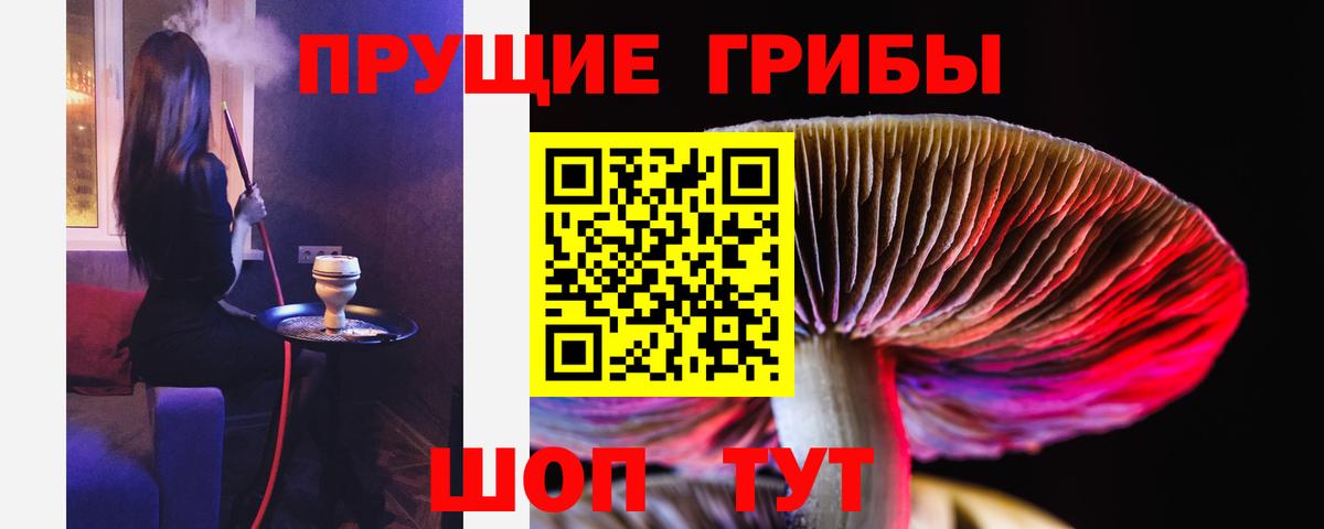 Псилоцибиновые грибы Cubensis Батайск